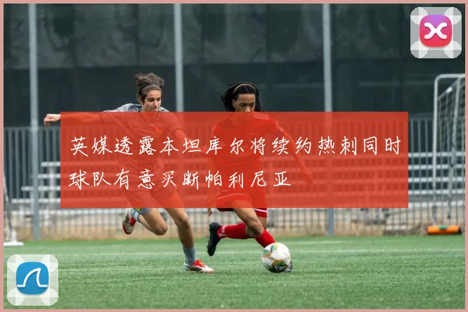 英媒透露本坦库尔将续约热刺同时球队有意买断帕利尼亚