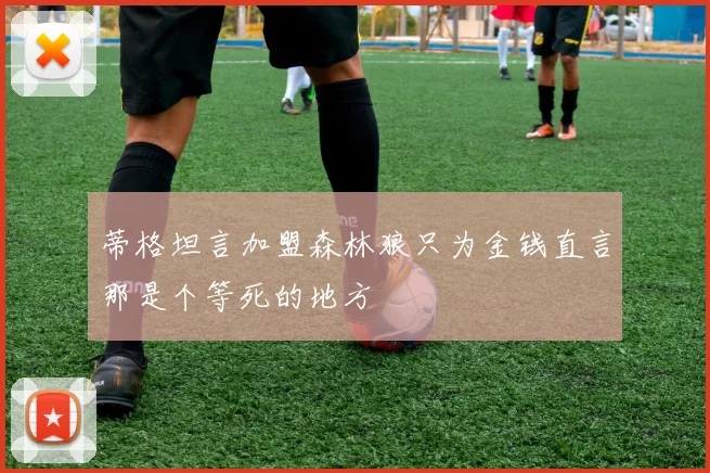 蒂格坦言加盟森林狼只为金钱直言那是个等死的地方